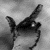 zlither :iconzlither:
