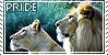 Zodiac-Lions-RP's avatar
