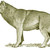 zoobones :iconzoobones: