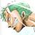 :iconzoro-swordsman: