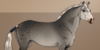 Zorxull-Studbook's avatar