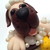 Zozohanful :iconzozohanful: