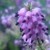 ZPhotographies :iconzphotographies: