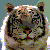 Zylia :iconzylia: