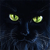 zzdevi :iconzzdevi: